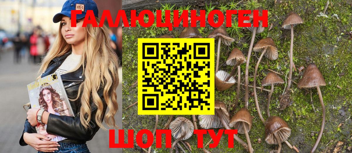 Лосино-Петровский  купить наркоту  Вход с VPN  Галлюциногенные грибы GOLDEN TEACHER 
