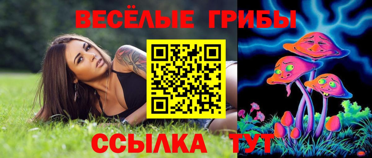 Псилоцибиновые грибы GOLDEN TEACHER Лосино-Петровский